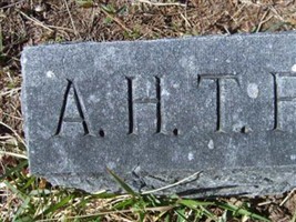 Agnes Hamlin Trotter Raney