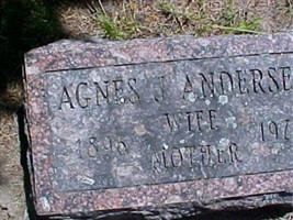 Agnes J. Andersen Agnes J. Andersen
