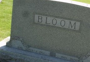 Agnes J Bloom