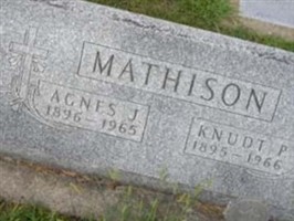 Agnes J. Mathison Agnes J. Mathison