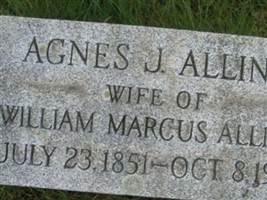 Agnes Jane Dalzell Alling