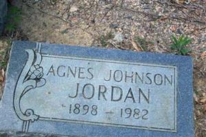 Agnes Johnson Jordan