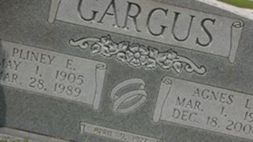 Agnes L. Bellew Gargus Agnes L. Bellew Gargus