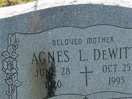 Agnes L DeWitt