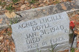 Agnes Lucille Doyle