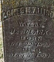 Agnes M. Allison Clark