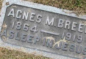 Agnes M Breed Agnes M Breed