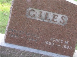 Agnes M Giles Agnes M Giles