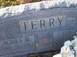 Agnes M Terry Agnes M Terry