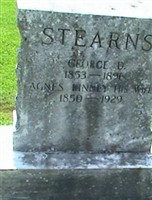 Agnes Minnie "Kinney" Stearns