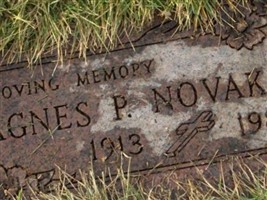 Agnes Pearl Polejewski Novak