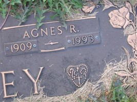 Agnes Rachael Jones Swiney