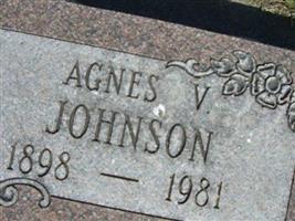 Agnes V Johnson