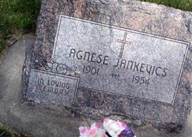 Agnese Jankevics
