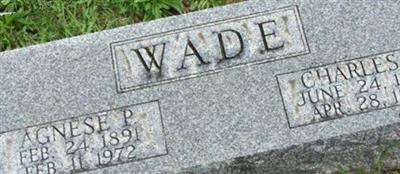 Agnese P. Wade