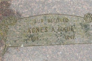 Agness Alida Hammer Caul