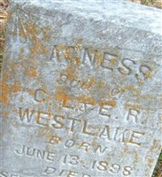 Agness Westlake