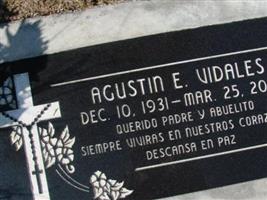 Agustin E Vidales