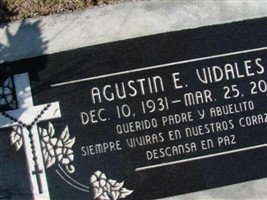 Agustin E Vidales Agustin E Vidales
