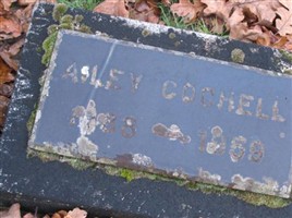Ailey Cochell