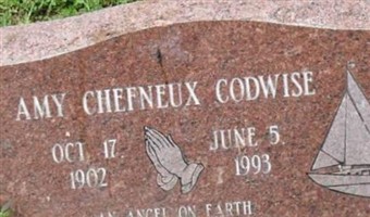 Aimee Chefneux Codwise
