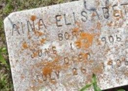 Aina Elisabet Salmonson Aina Elisabet Salmonson