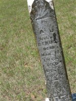 A J Mangis A J Mangis