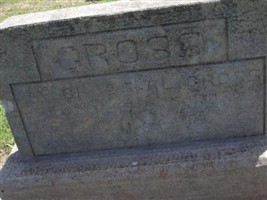 A. L. Gross