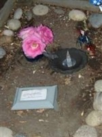 Alain C. Dumont (1849428.jpg)