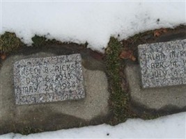 Alan M Ricks