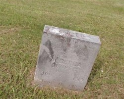 Alberda Cooper (2026105.jpg)
