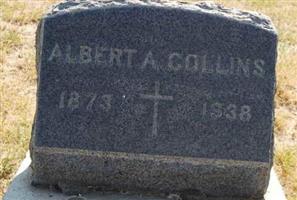 Albert A. Collins