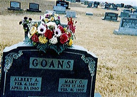 Albert Alonzo Goans
