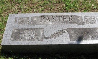 Albert Alvin Paster