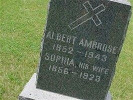 Albert Ambrose Albert Ambrose