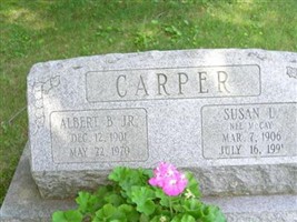 Albert B Carper, Jr Albert B Carper, Jr