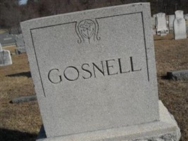 Albert B. Gosnell Albert B. Gosnell
