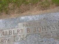 Albert B Johnson Albert B Johnson