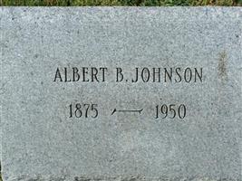 Albert B Johnson Albert B Johnson