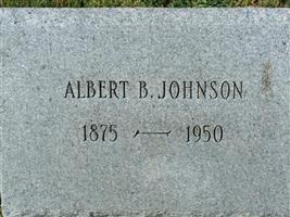 Albert B Johnson