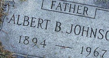 Albert B Johnson Albert B Johnson