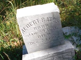 Albert Bates Albert Bates