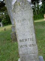 Albert "Bertie" Sanders