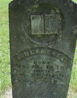 Albert Blakeney Albert Blakeney