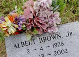 Albert Brown, Jr