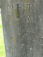 Albert C. Egan