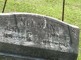 Albert C Neuman