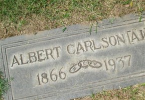 Albert Carlson Albert Carlson