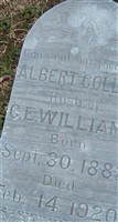 Albert Collier Williams Albert Collier Williams
