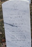 Albert Collins Burrows